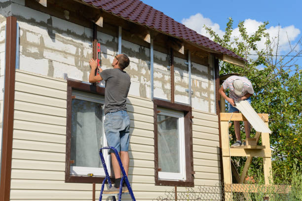 Best Custom Trim and Detailing for Siding  in Williamston, SC