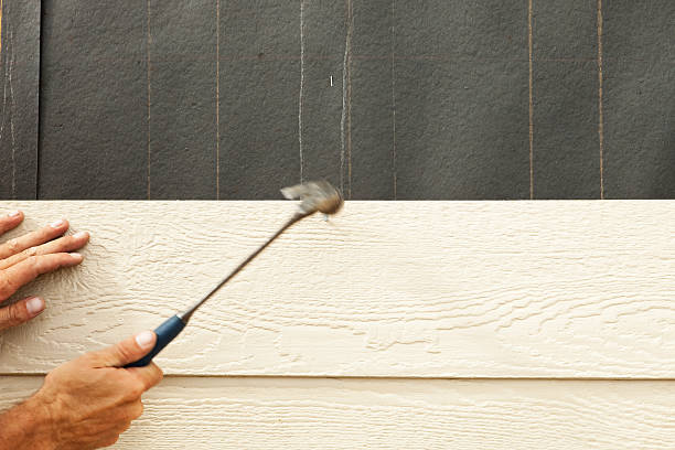 Best Insulated Siding Installation  in Williamston, SC